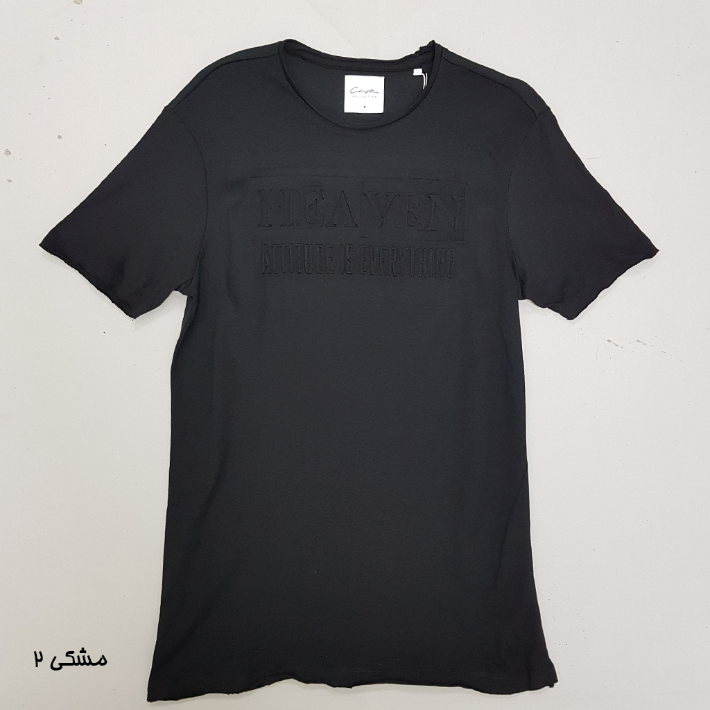 تی شرت مردانه 30873 مارک Collection