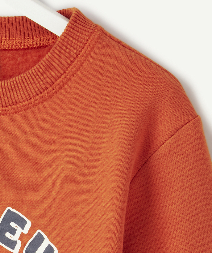 پلیور پسرانه 29356 سایز 2 تا 12 سال مارک Tapea Loeil