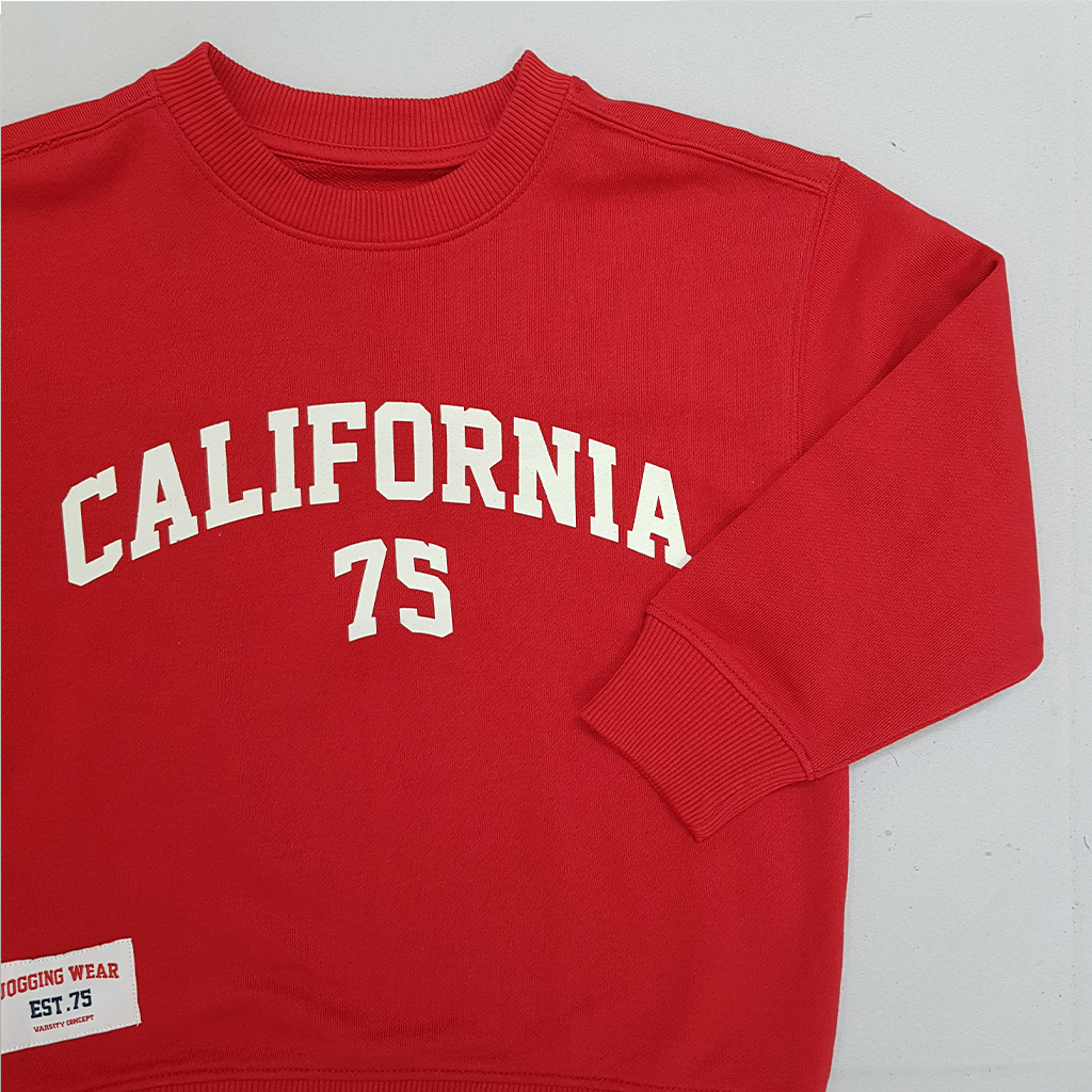 پلیور پسرانه 30176 سایز 6 تا 14 سال مارک ZARA