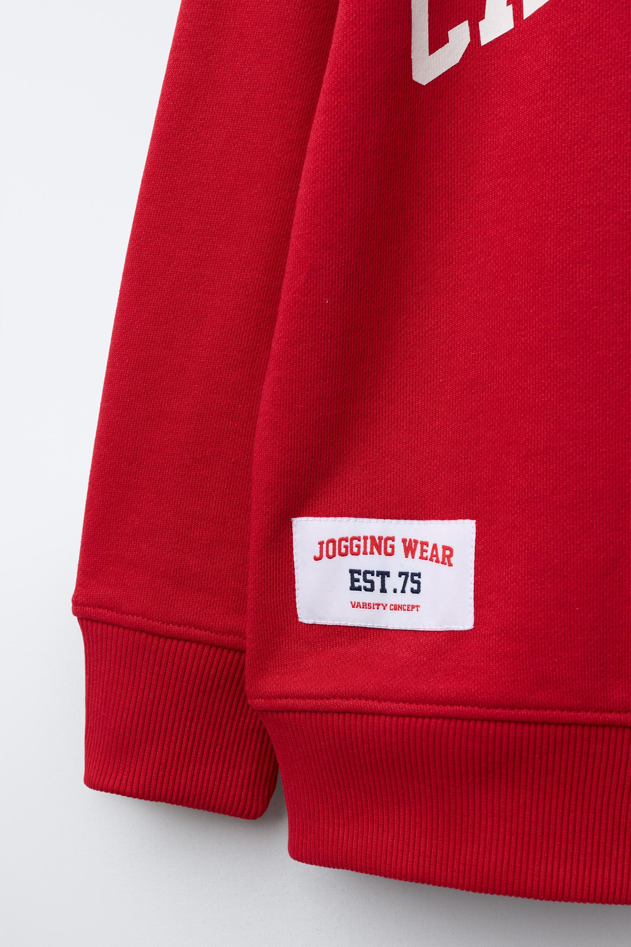 پلیور پسرانه 30176 سایز 6 تا 14 سال مارک ZARA