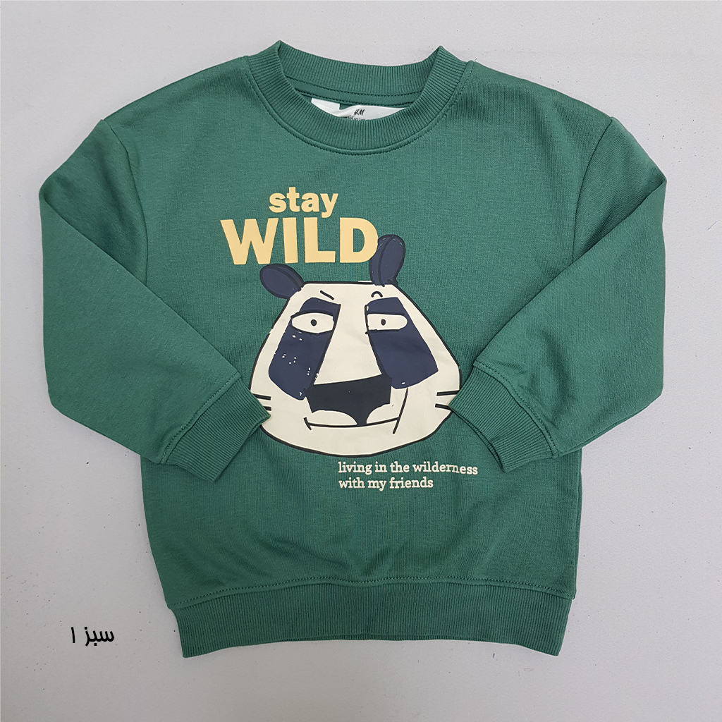 پلیور پسرانه 29570 سایز 1.5 تا 10 سال کد 2 مارک H&M