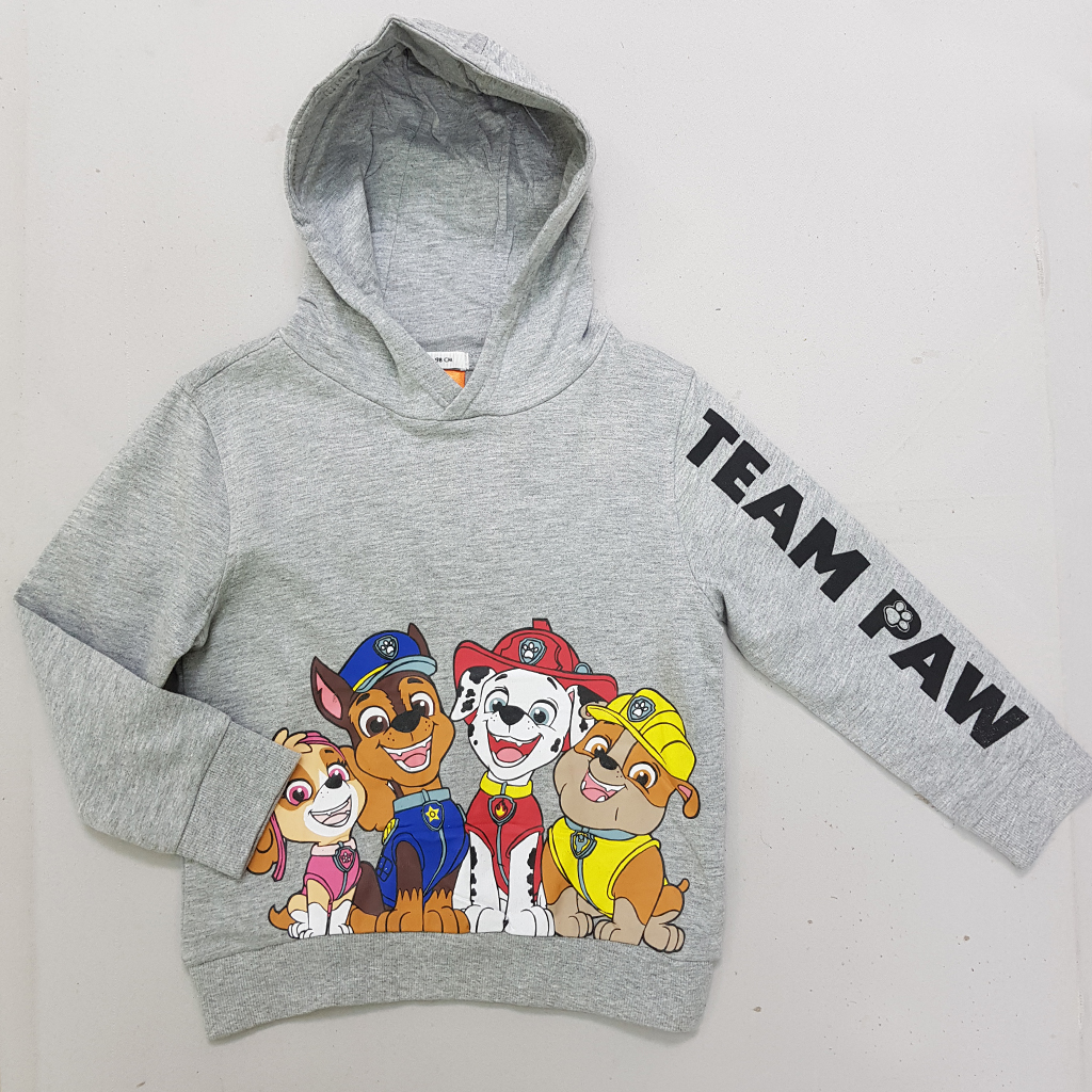 هودی پسرانه 30212 سایز 2 تا 8 سال مارک SINSAY