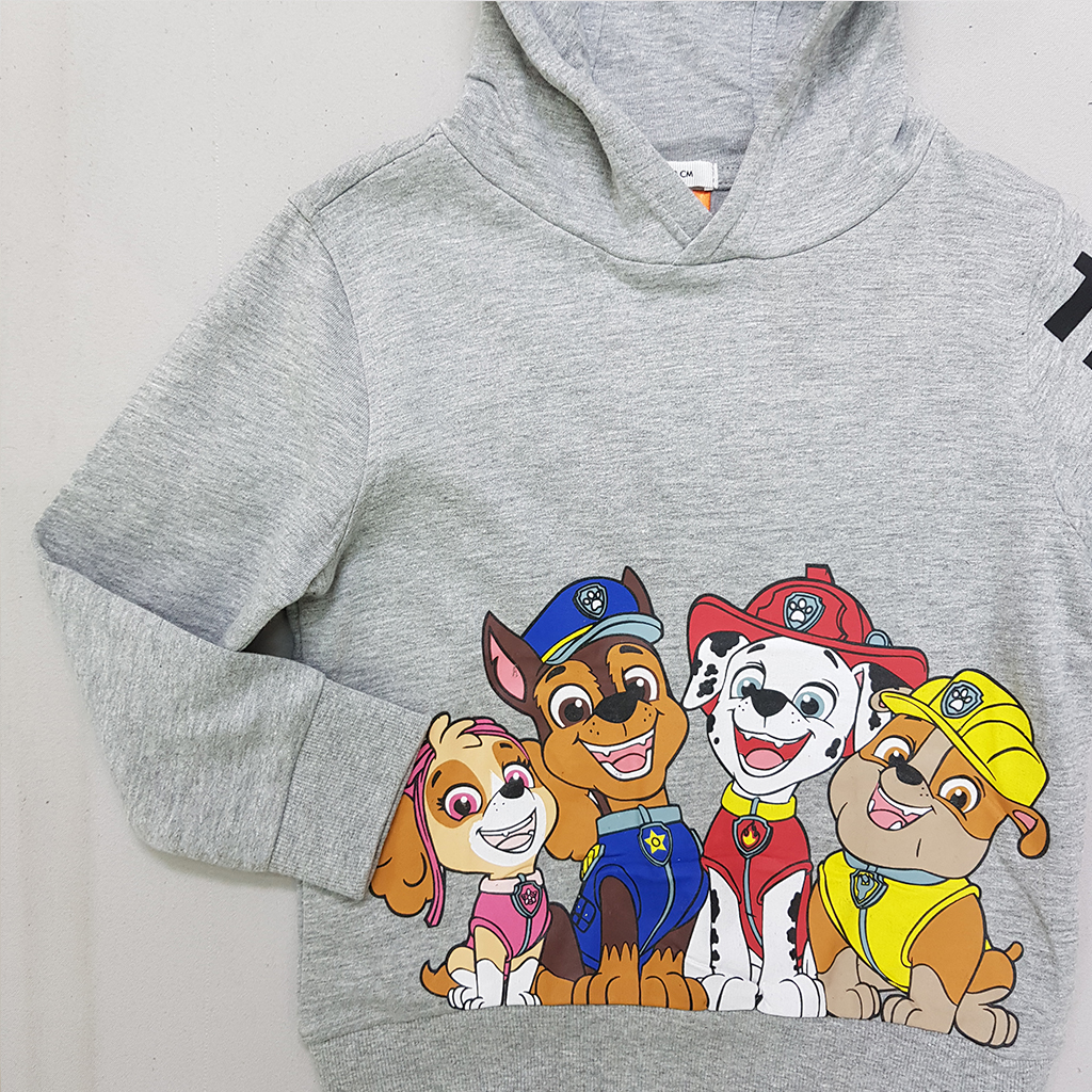 هودی پسرانه 30212 سایز 2 تا 8 سال مارک SINSAY