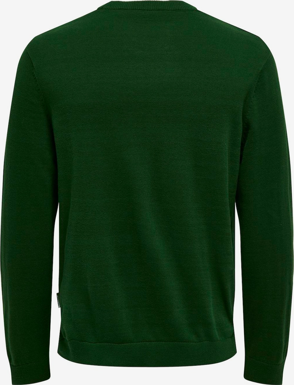 بافت بزرگسال 30637