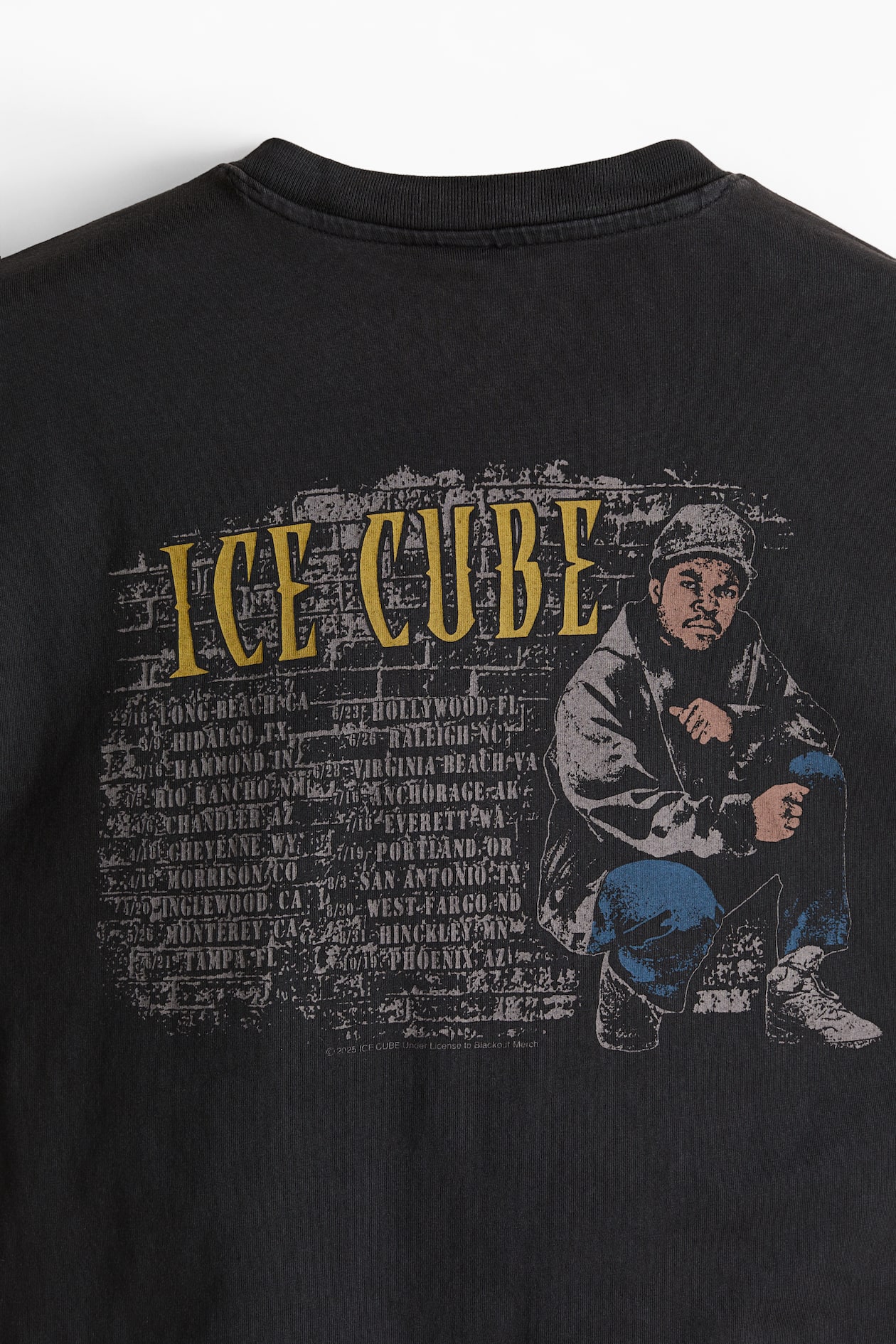 تی شرت مردانه 30391 مارک H&M