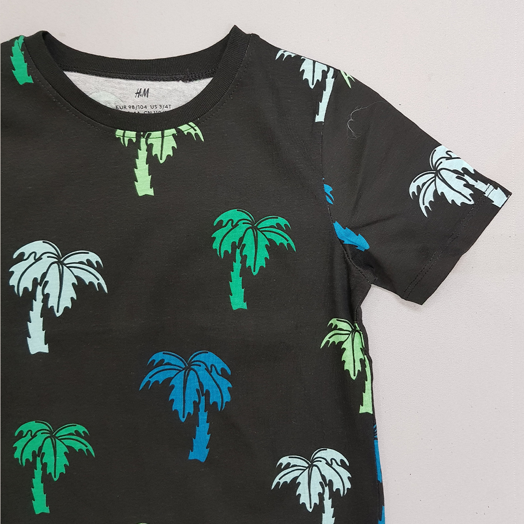 تی شرت پسرانه 30721 سایز 3 تا 10 سال مارک H&M