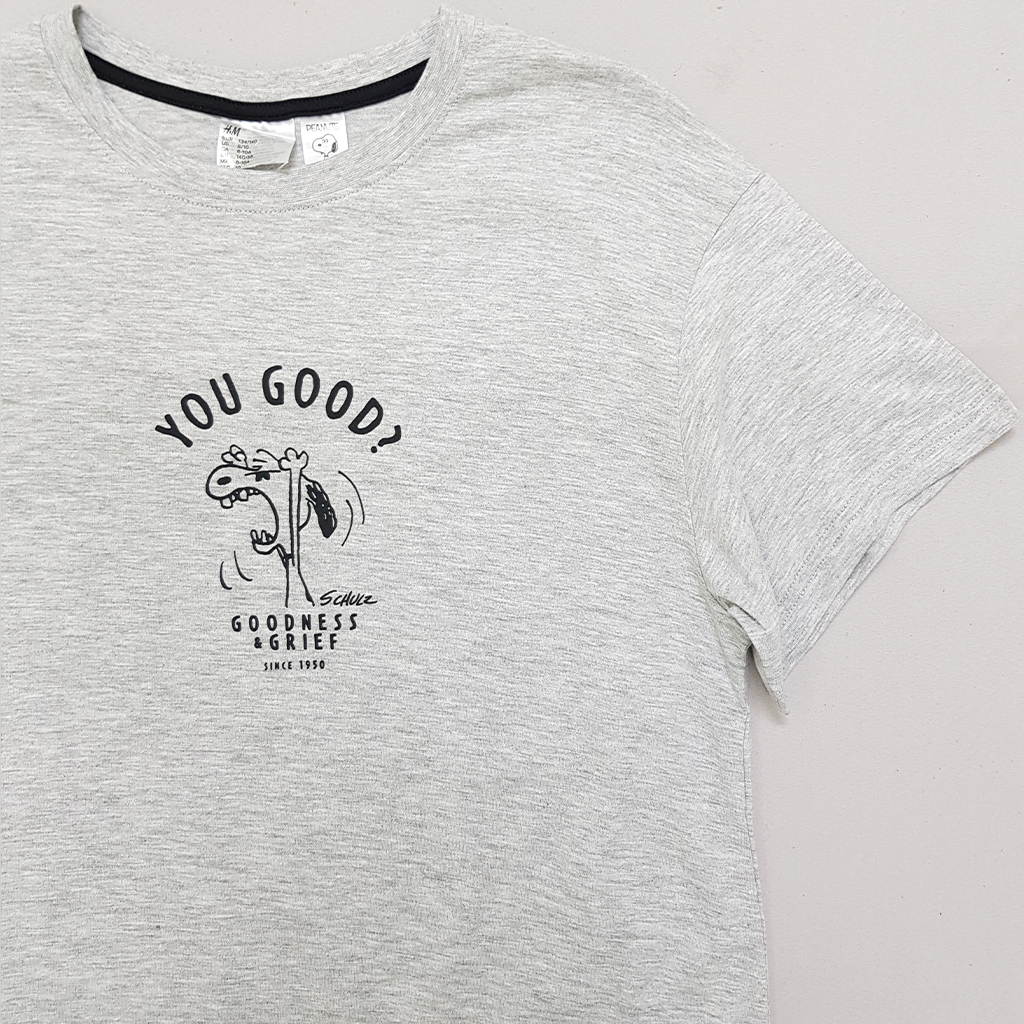 تی شرت پسرانه 30719 سایز 9 تا 15 سال مارک H&M