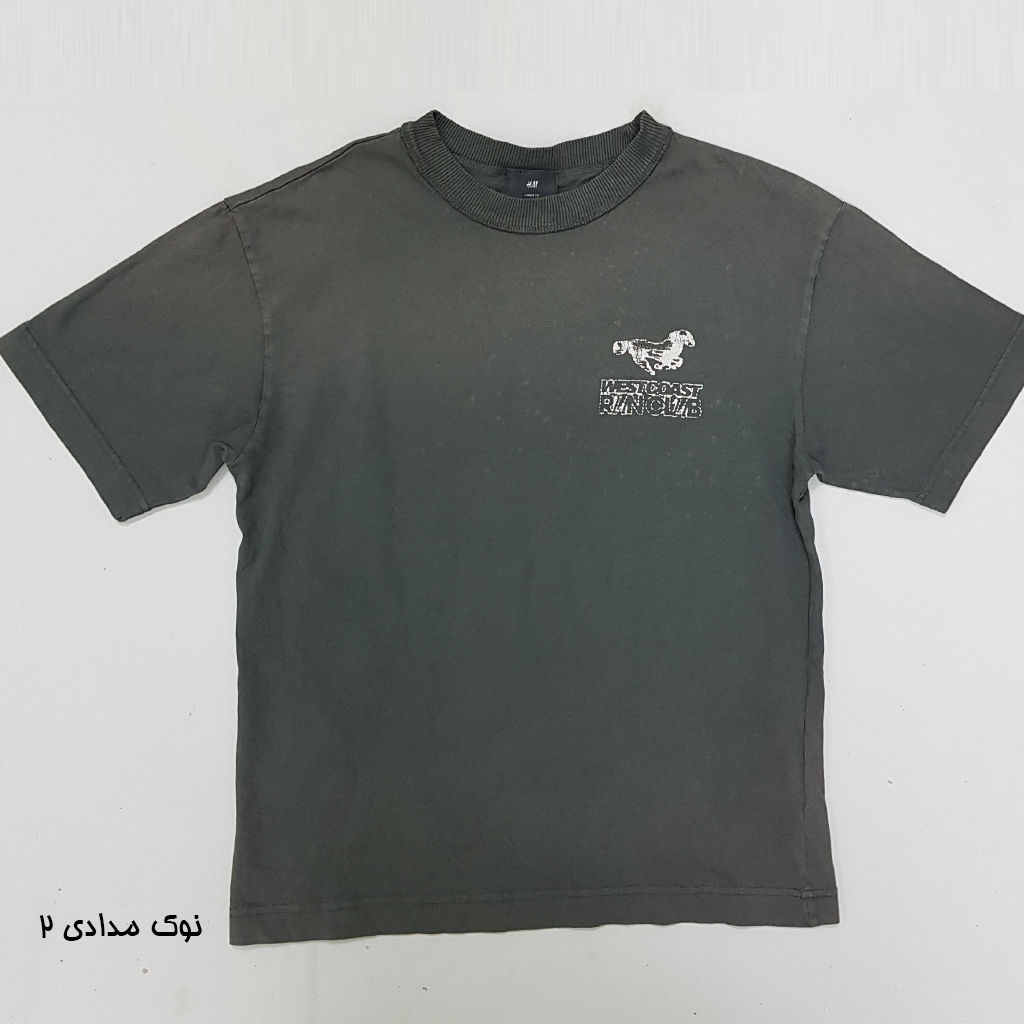 تی شرت مردانه 31071 مارک H&M