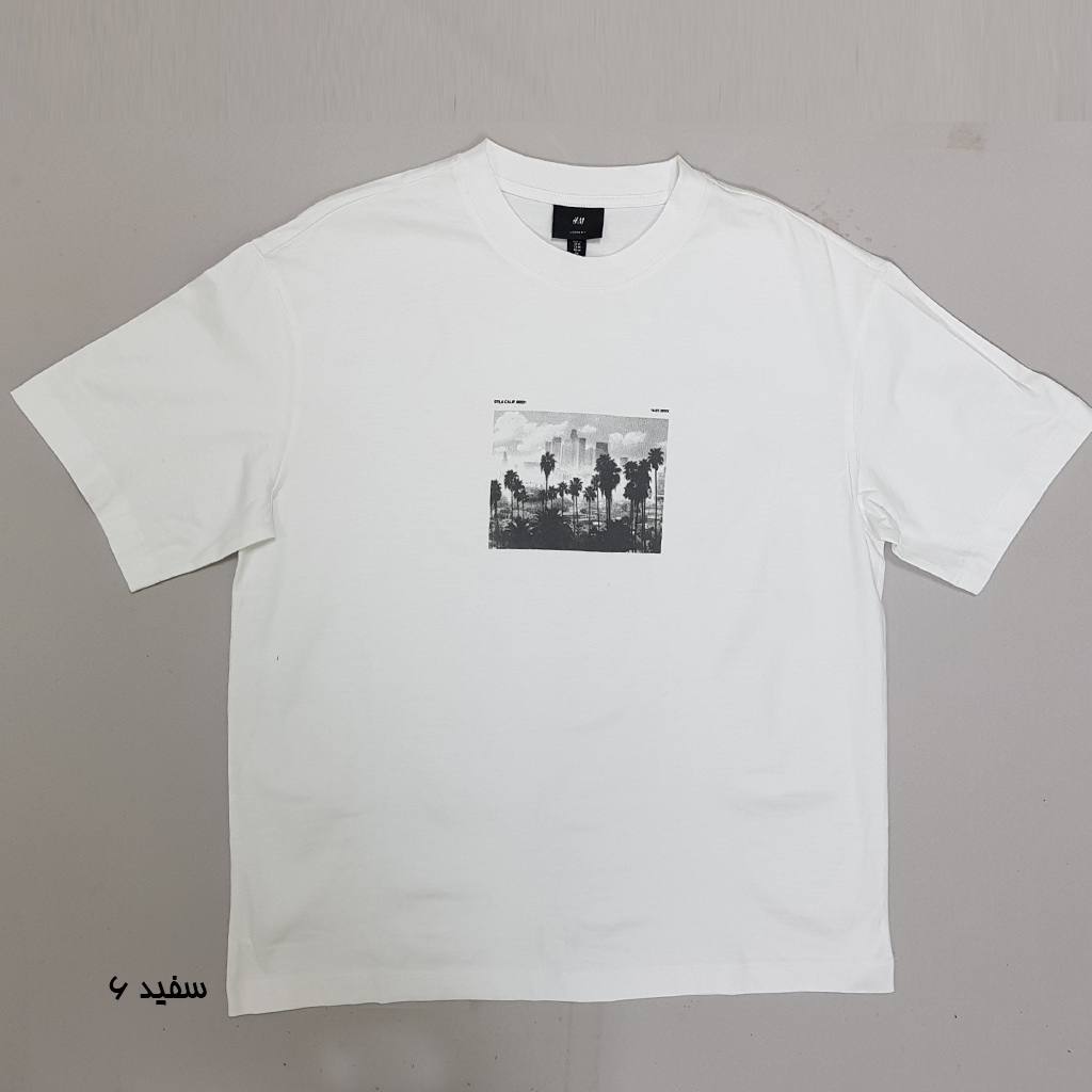 تی شرت مردانه 31080 مارک H&M