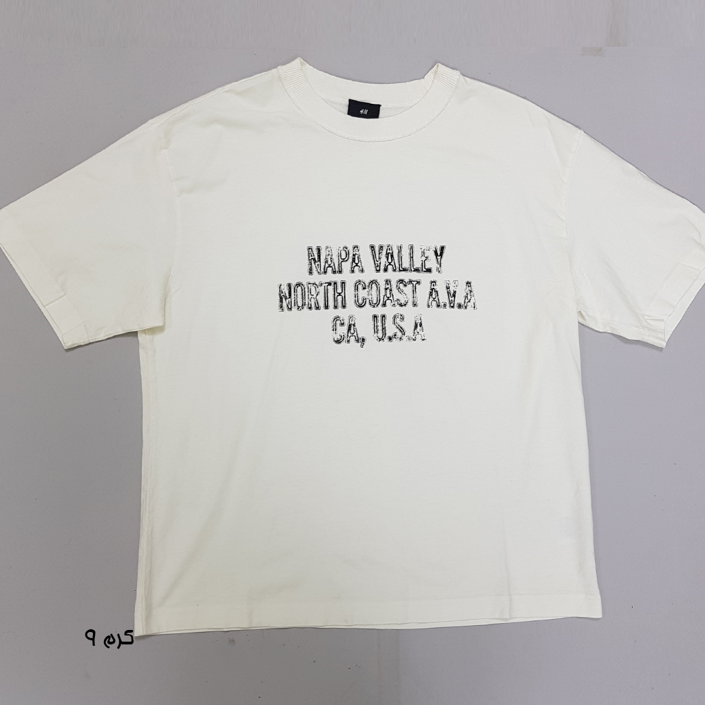 تی شرت مردانه 31080 مارک H&M