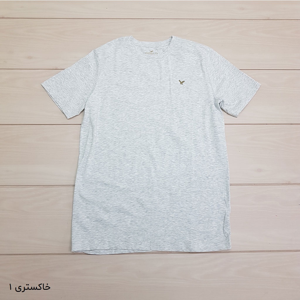 تی شرت مردانه 24577 مارک AMERICAN EAGLE