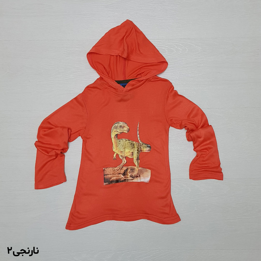 بلوز کلاه دار پسرانه 26547 سایز 2 تا 6 سال