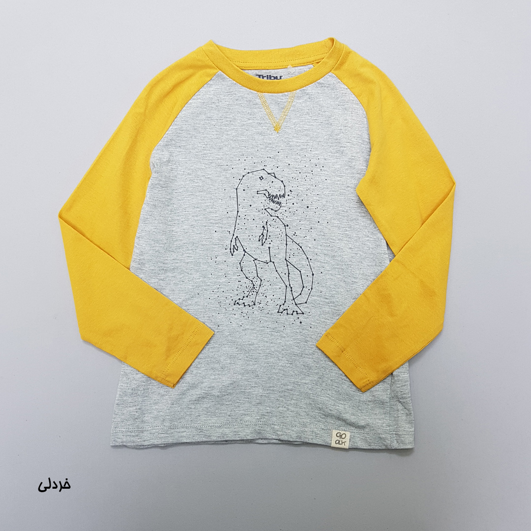 بلوز پسرانه 30303 سایز 4 تا 10 سال مارک Tribu   *