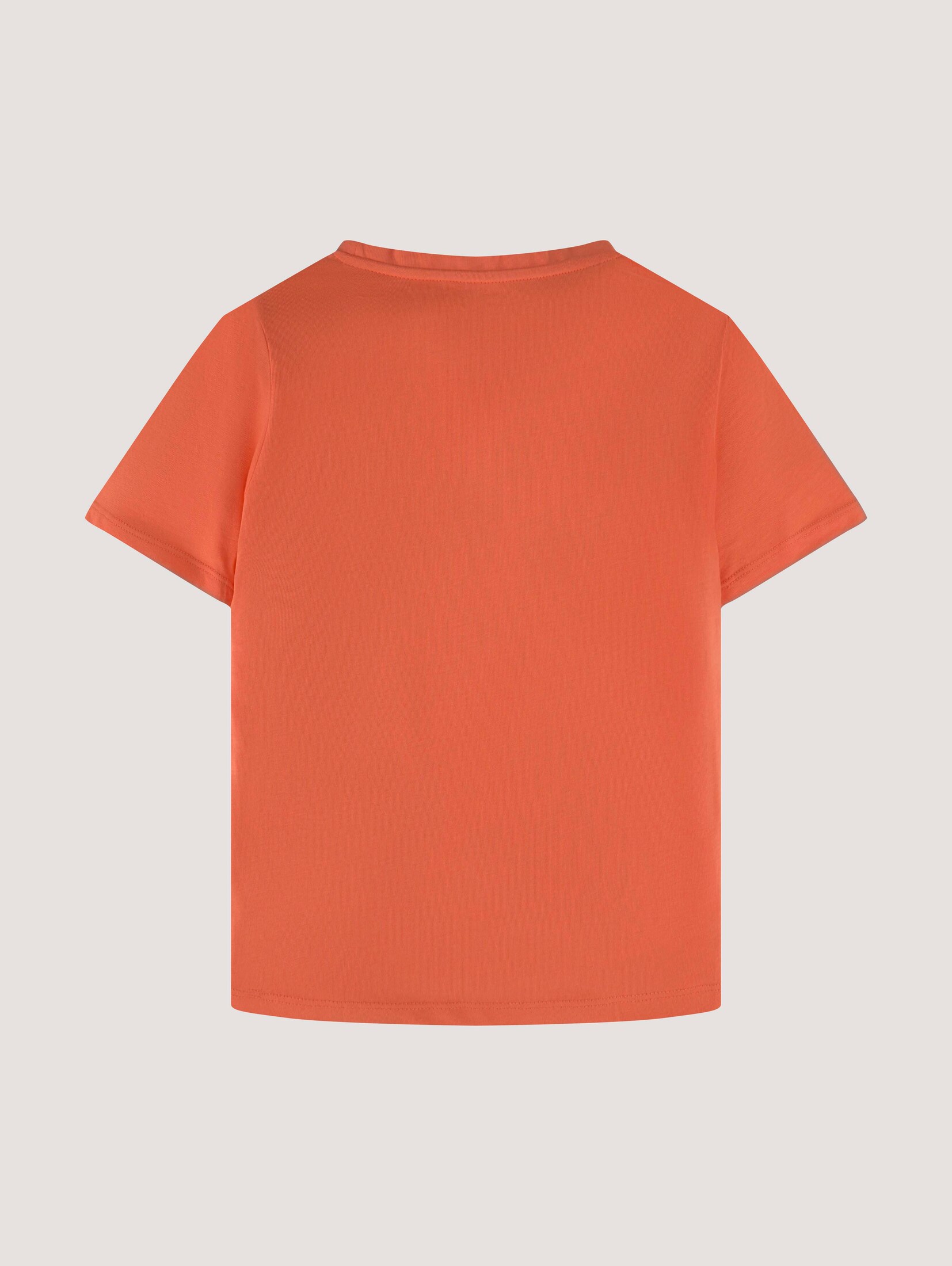 تی شرت پسرانه 35929 سایز 2 تا 9 سال کد 4 مارک TomTailor