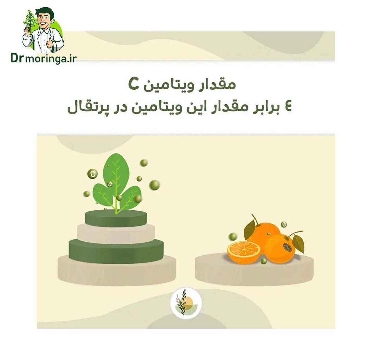 گیاه دارویی مورینگا صد گرمی کد 222