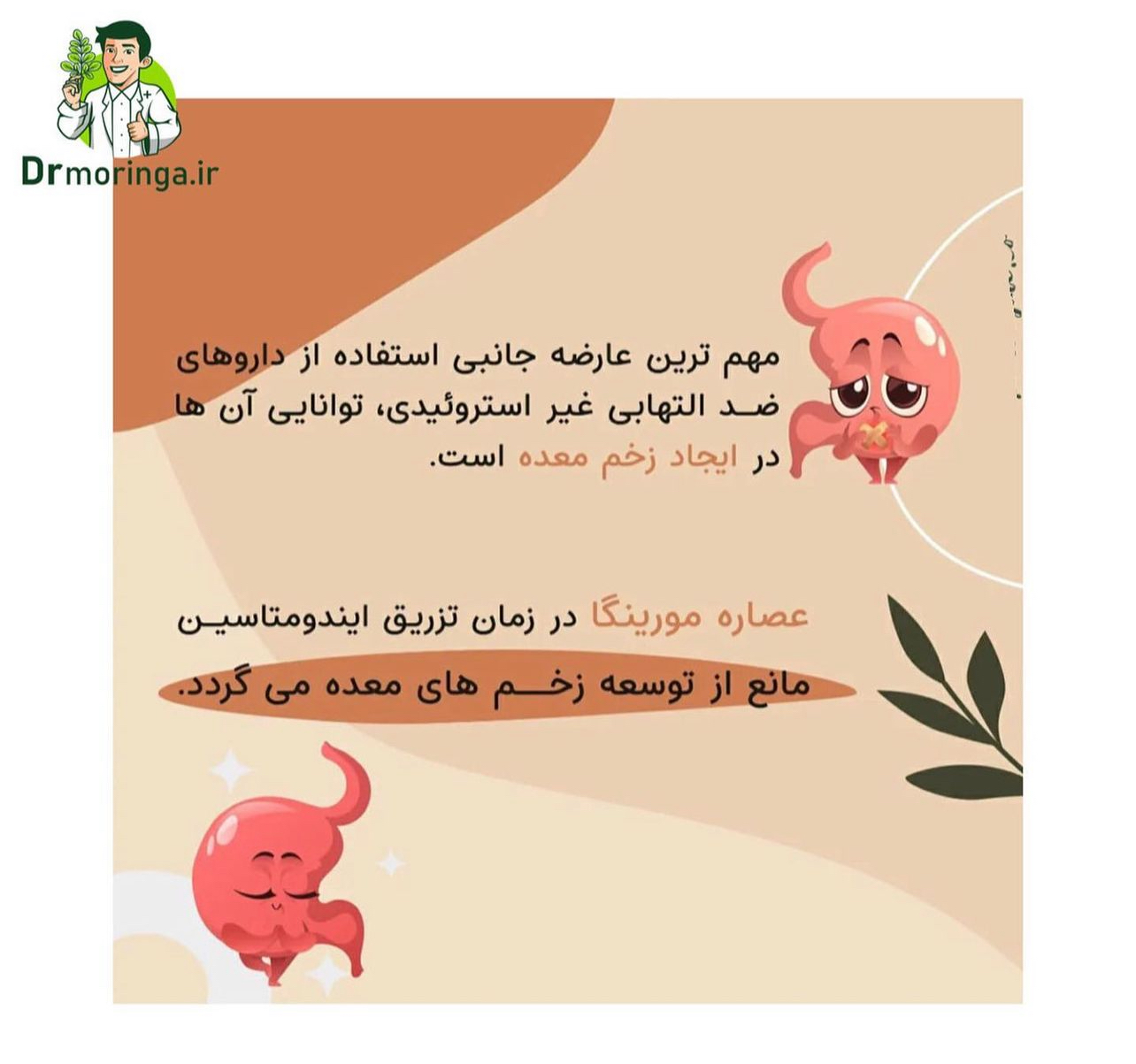 گیاه دارویی مورینگا صد گرمی کد 222