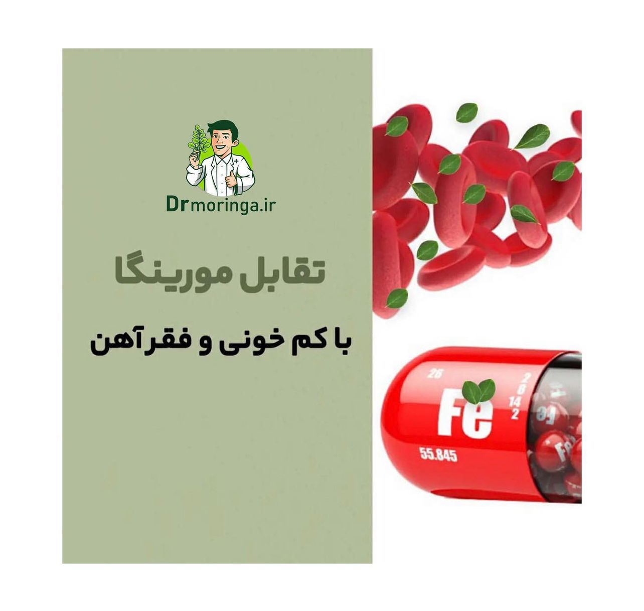 گیاه دارویی مورینگا صد گرمی کد 222
