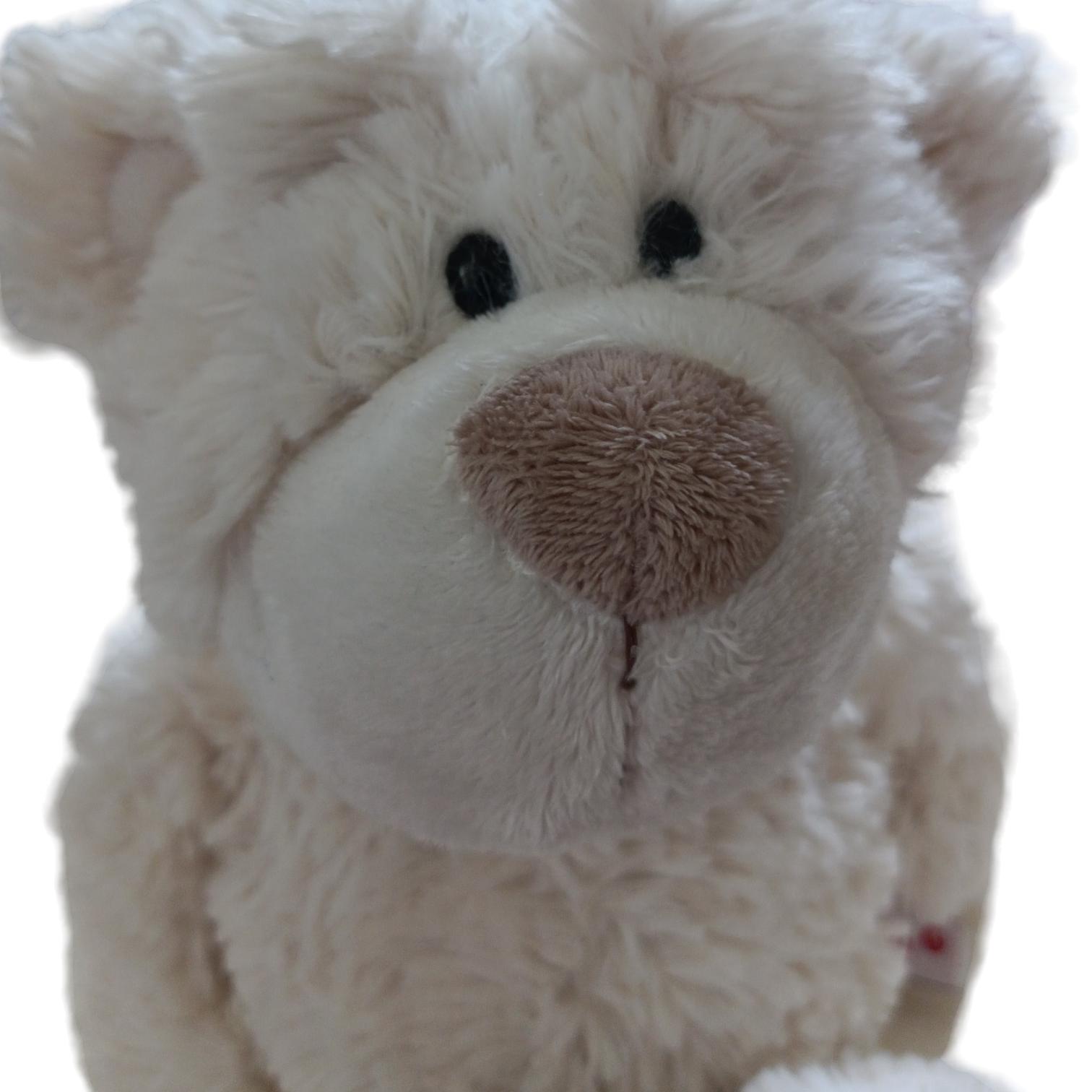 عروسک خزی طرح خرسی کد 2205547