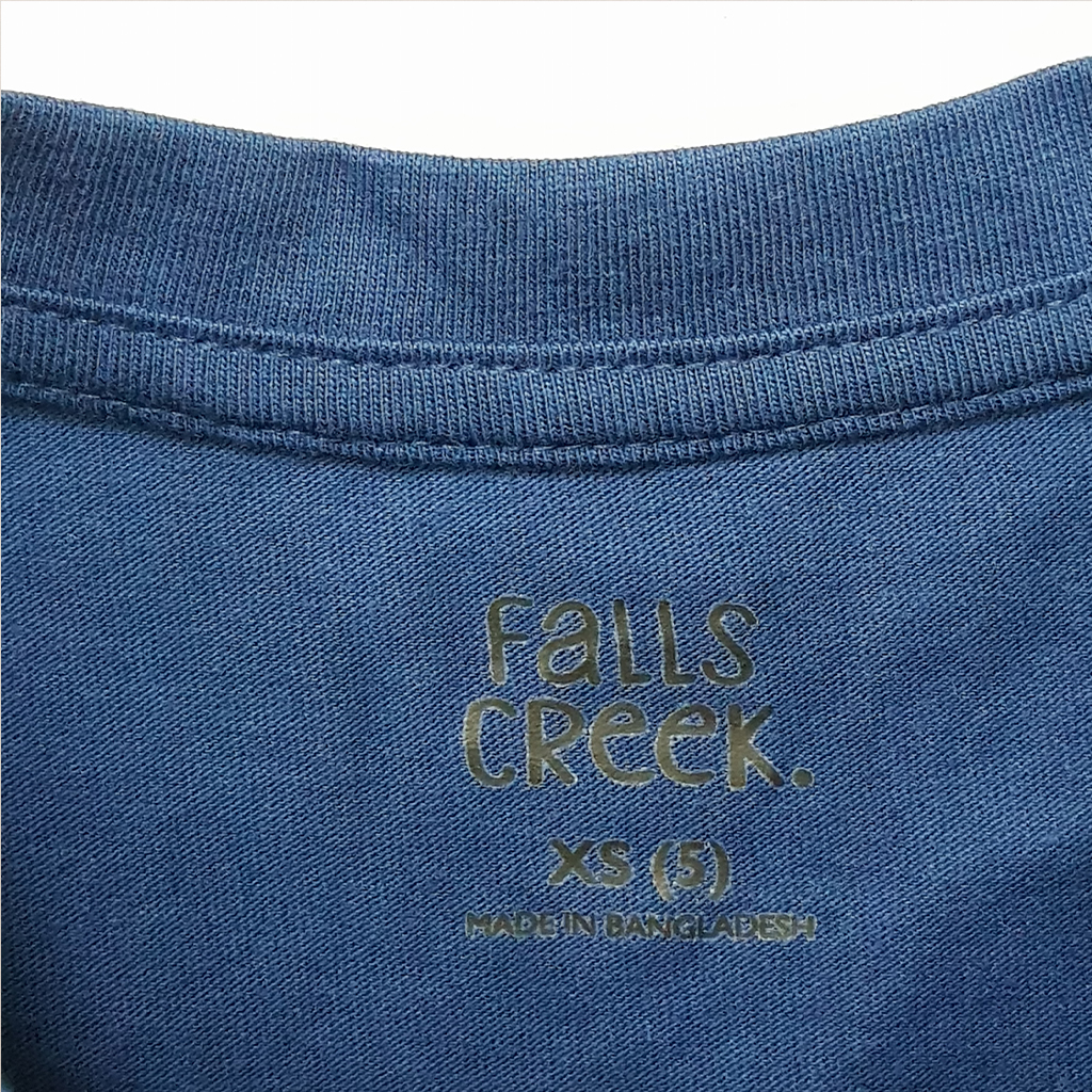 تی شرت پسرانه 27318 سایز 5 تا 16 سال کد 3 مارک Falls Creek