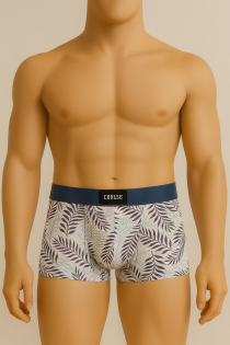 لباس زیر مردانه720