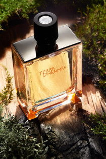 ادو پرفیوم مردانه TERRE D’HERMÉS کالکشن (Smart NO.275) کد 3228