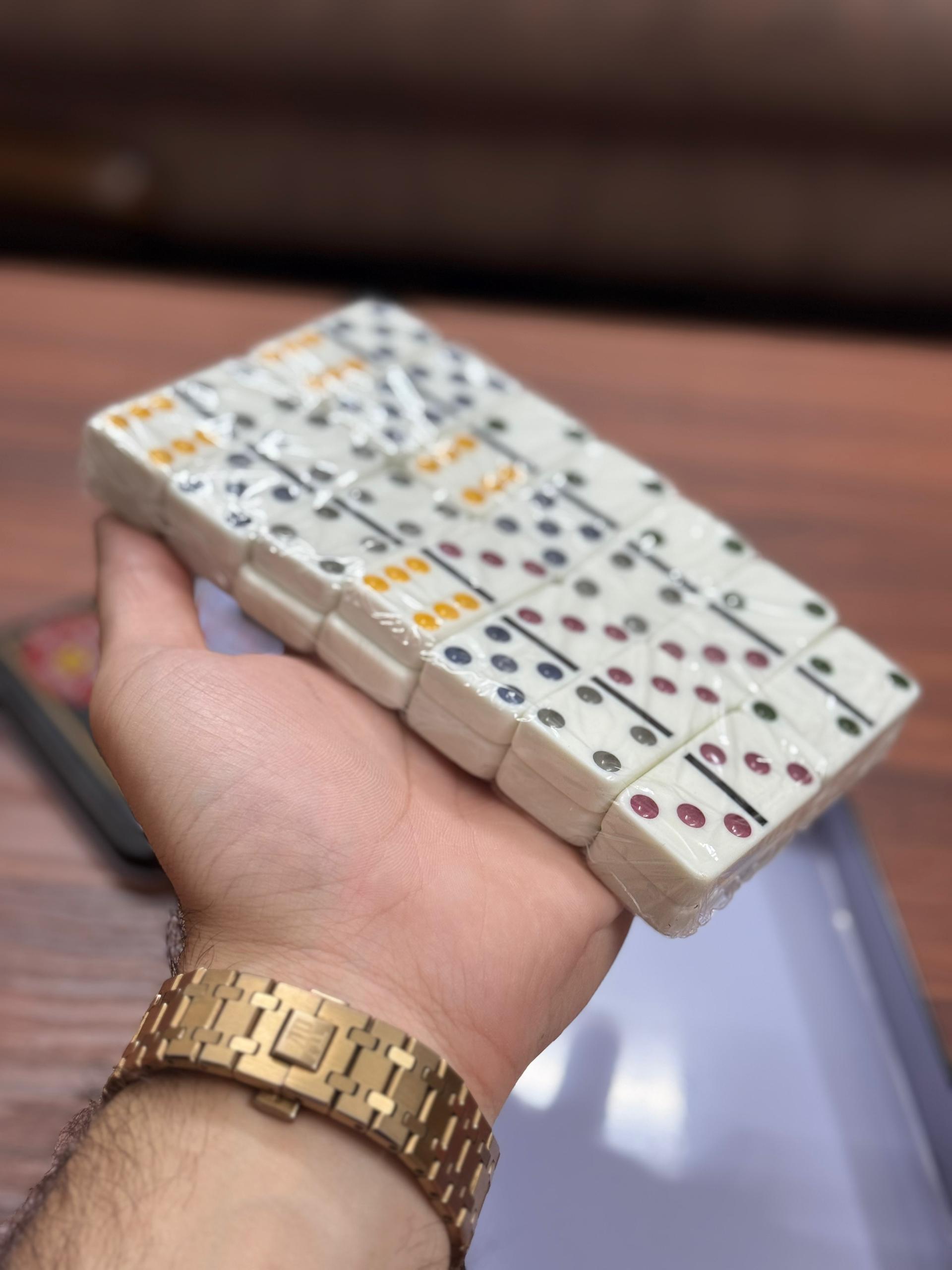بازی فکری دومینو جعبه استیل Dominoes کد 1040