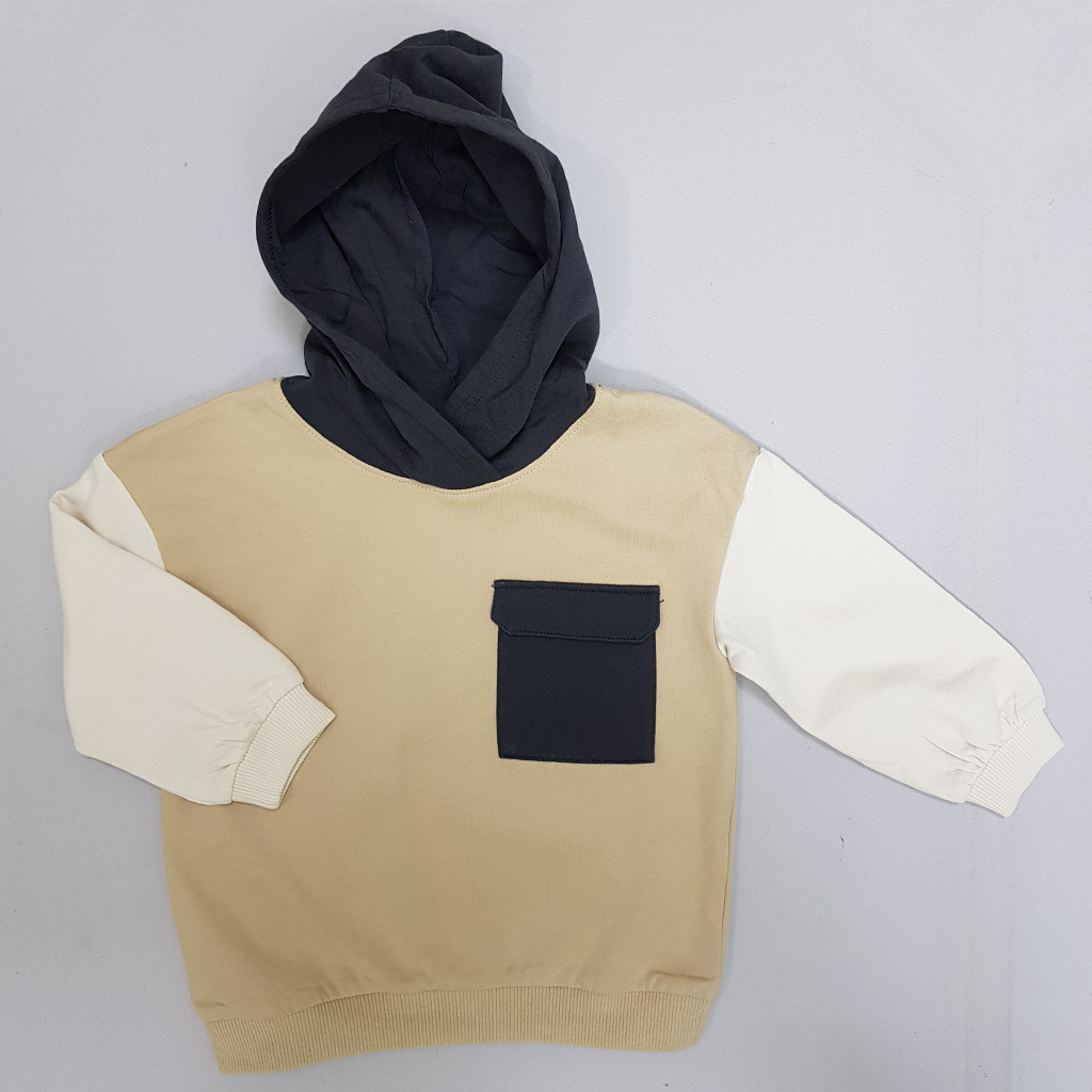 هودی پسرانه 29222 سایز 12 ماه تا 5 سال