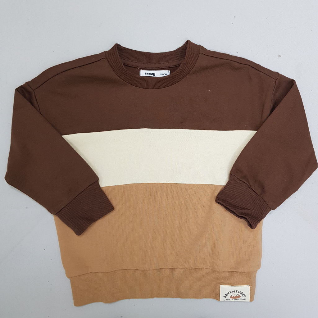 پلیور پسرانه 29221 سایز 3 تا 6 سال مارک SINSAY