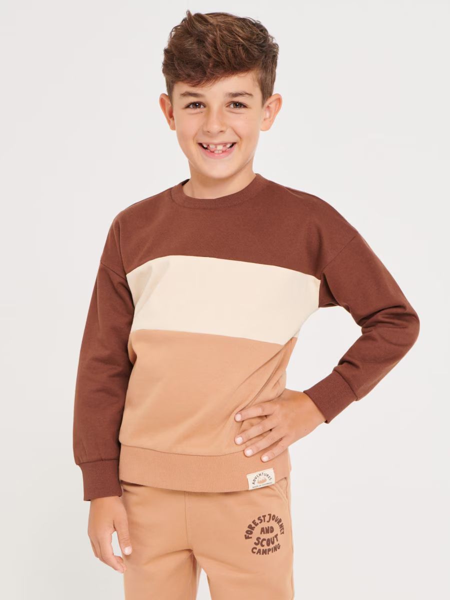 پلیور پسرانه 29221 سایز 3 تا 6 سال مارک SINSAY