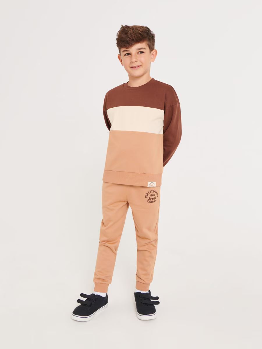 پلیور پسرانه 29221 سایز 3 تا 6 سال مارک SINSAY