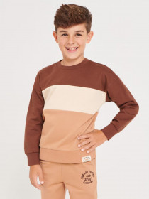 پلیور پسرانه 29221 سایز 3 تا 6 سال مارک SINSAY