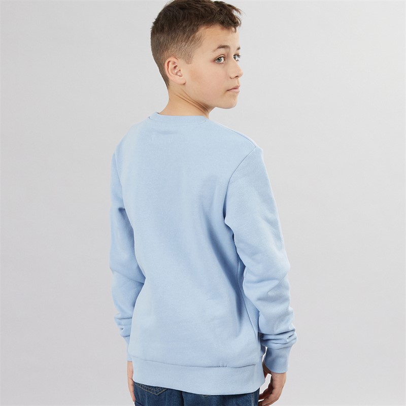 پلیور پسرانه 29250 سایز 6 تا 16 سال مارک Jack&Jones   *