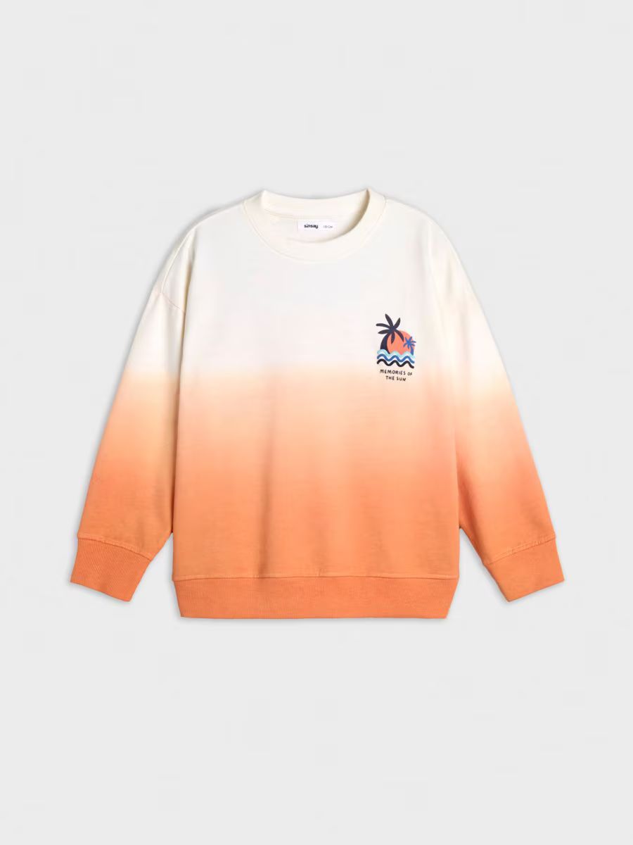 پلیور پسرانه 29219 سایز 3 تا 9 سال مارک SINSAY