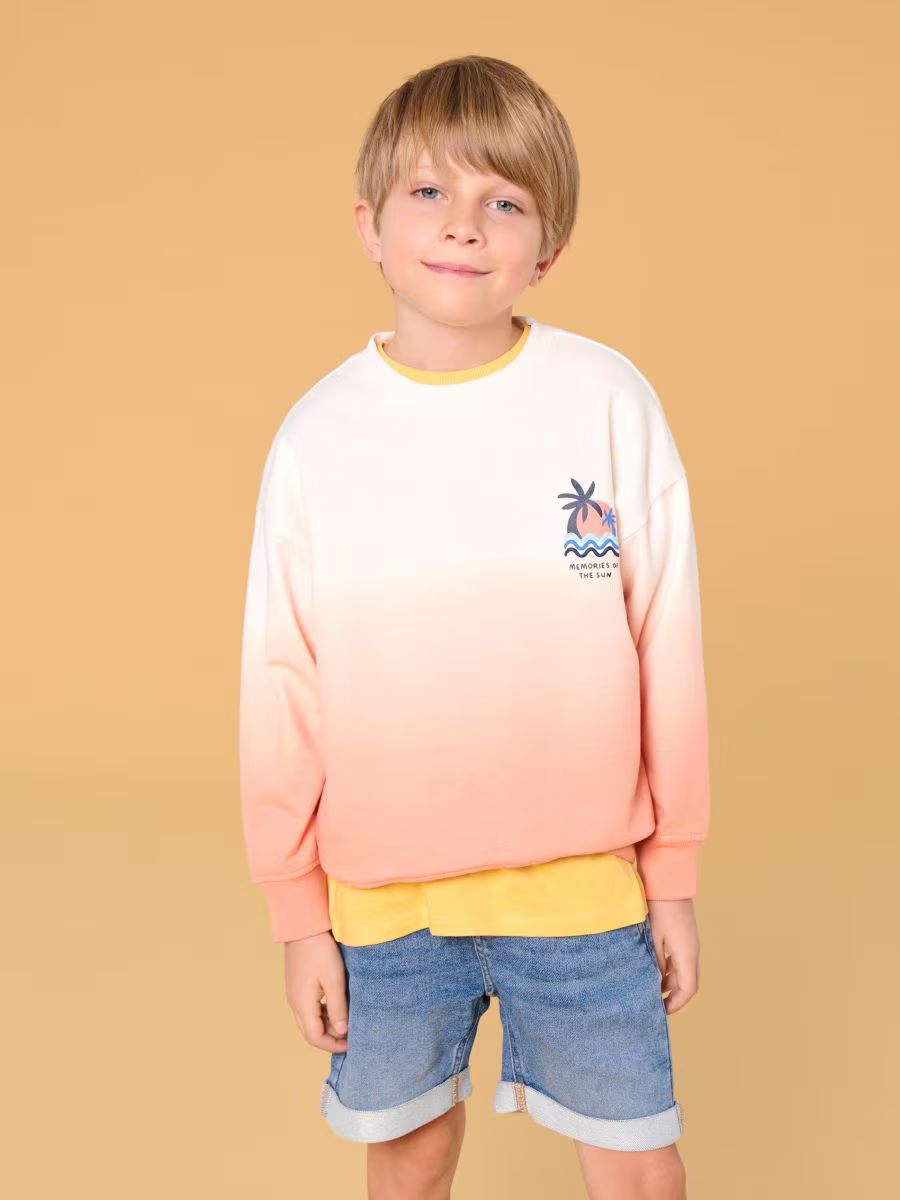 پلیور پسرانه 29219 سایز 3 تا 9 سال مارک SINSAY