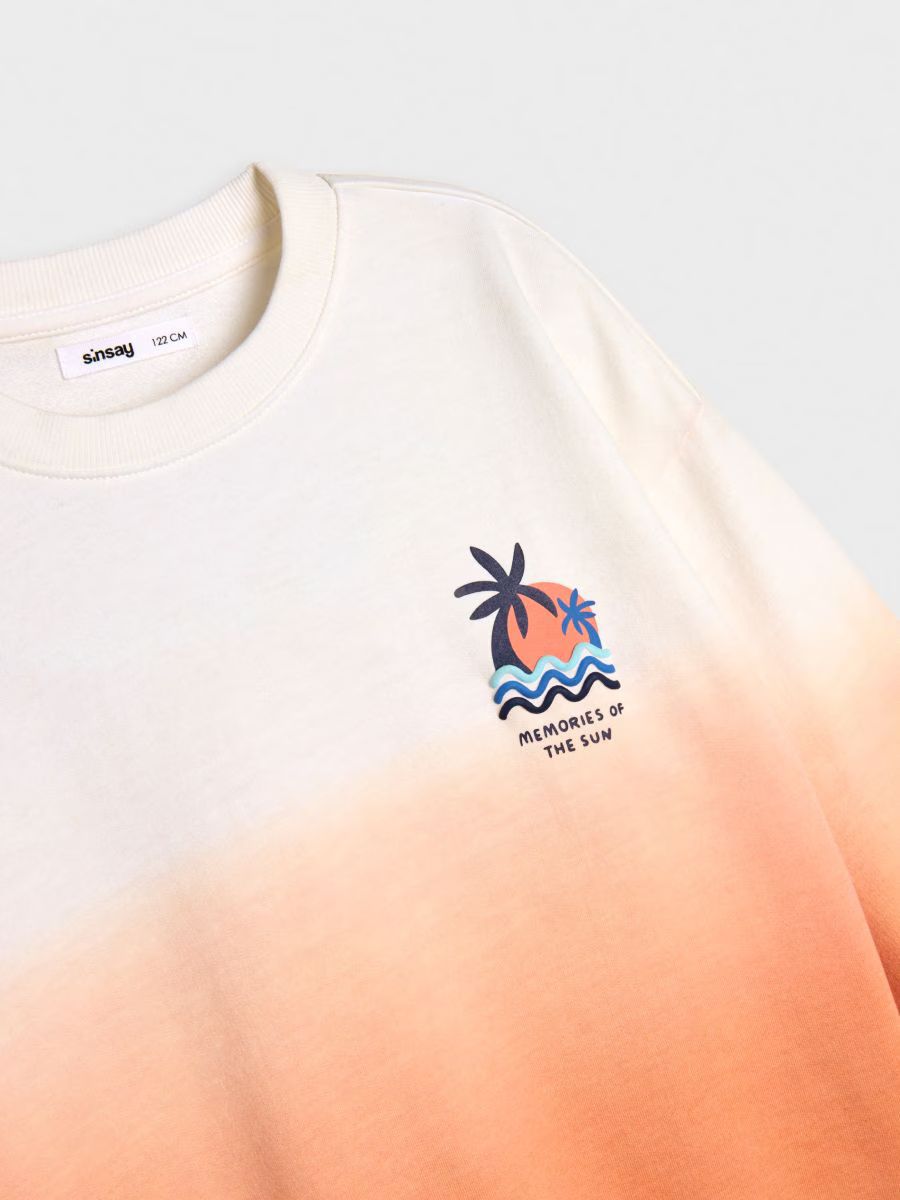 پلیور پسرانه 29219 سایز 3 تا 9 سال مارک SINSAY