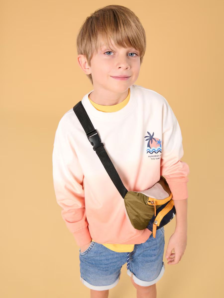 پلیور پسرانه 29219 سایز 3 تا 9 سال مارک SINSAY