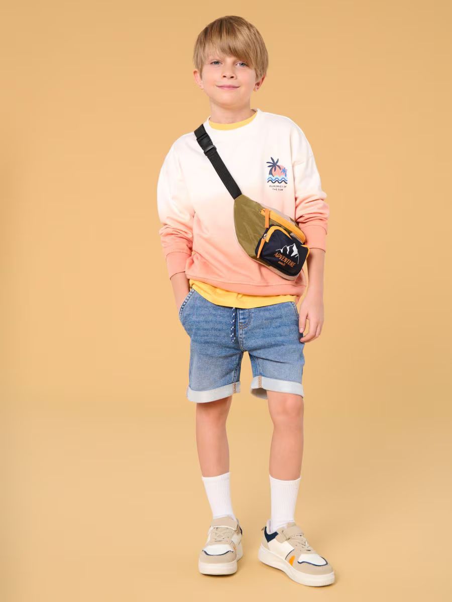 پلیور پسرانه 29219 سایز 3 تا 9 سال مارک SINSAY