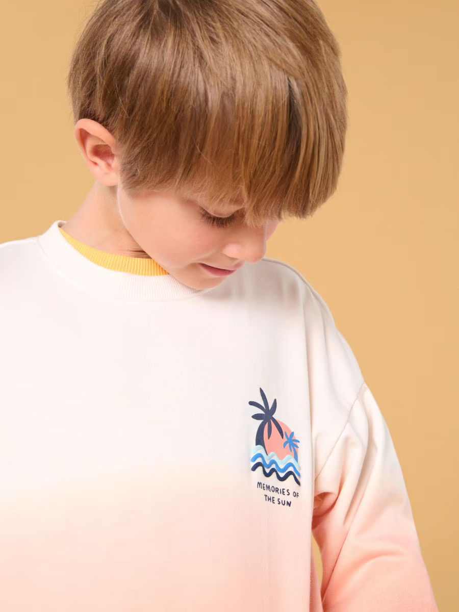 پلیور پسرانه 29219 سایز 3 تا 9 سال مارک SINSAY