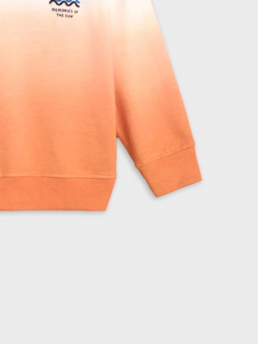 پلیور پسرانه 29219 سایز 3 تا 9 سال مارک SINSAY