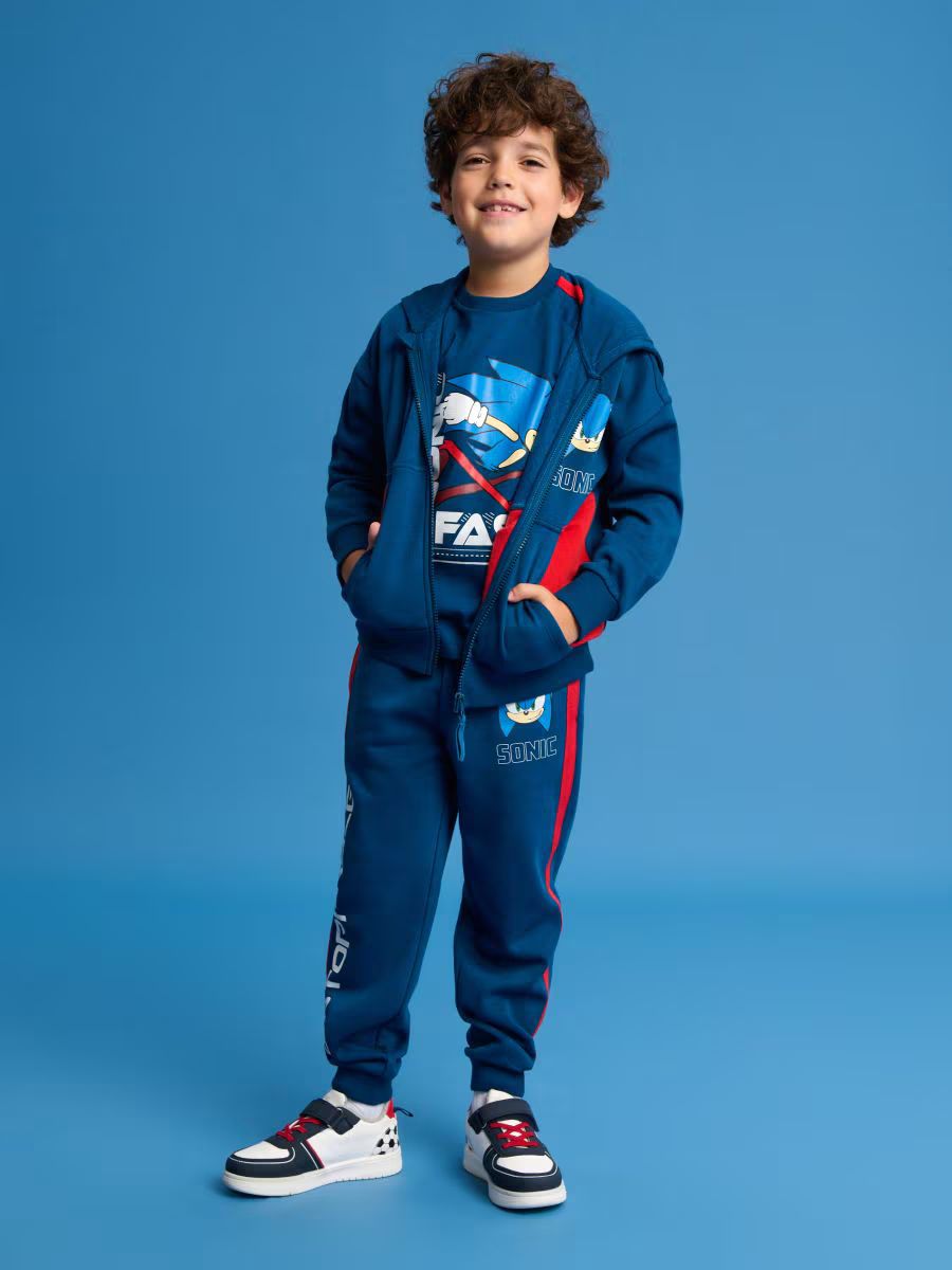 سویشرت پسرانه 29162 سایز 3 تا 10 سال مارک SINSAY