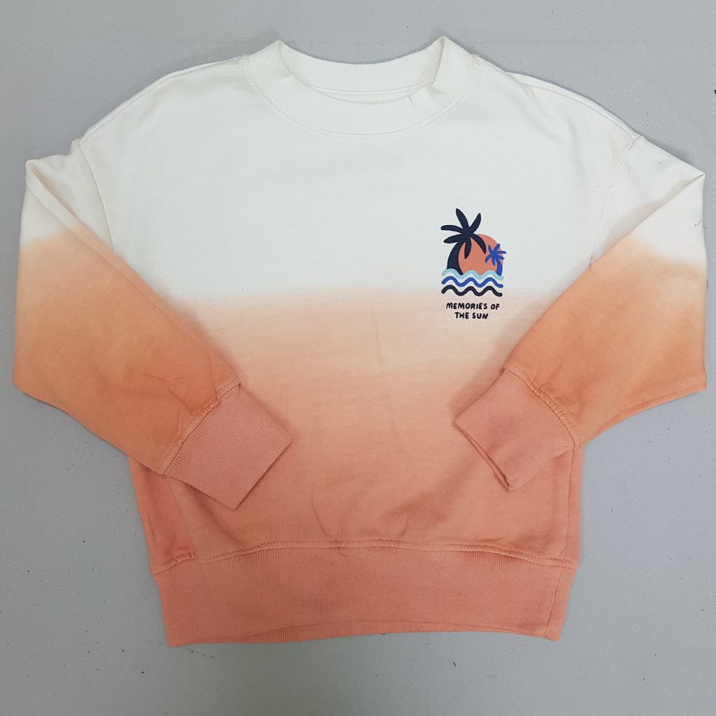 پلیور پسرانه 29219 سایز 3 تا 9 سال مارک SINSAY   *