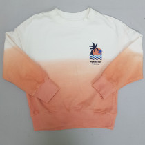 پلیور پسرانه 29219 سایز 3 تا 9 سال مارک SINSAY   *