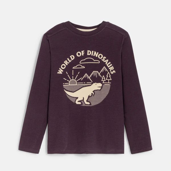 بلوز پسرانه 29227 سایز 3 تا 12 سال کد 37 مارک OKAIDI