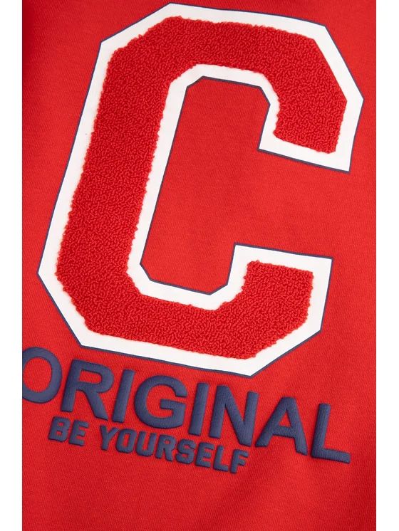 هودی دخترانه 29383 سایز 8 تا 15 سال مارک CDRL