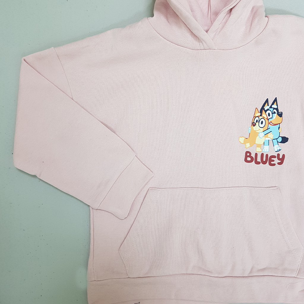 ست هودی و شلوار دخترانه 29603 سایز 2 تا 10 سال کد 2 مارک H&M