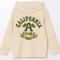 هودی پسرانه 29369 سایز 5 تا 14 سال مارک LC WAIKIKI