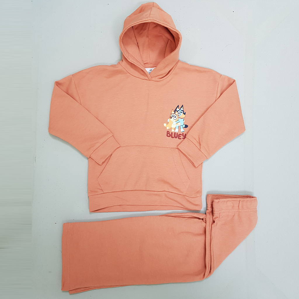 ست هودی و شلوار دخترانه 29603 سایز 2 تا 10 سال کد 4 مارک H&M