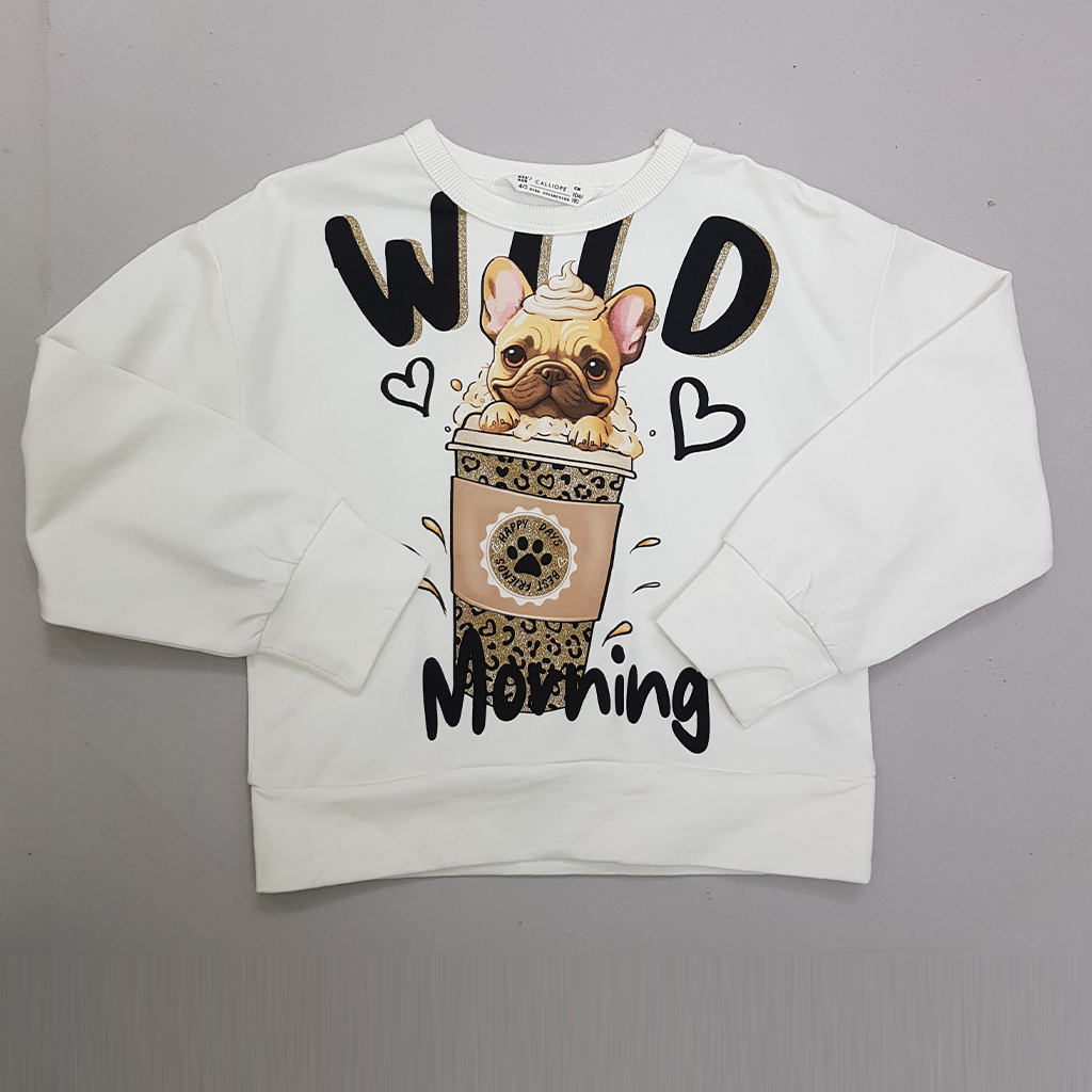 پلیور دخترانه 29819 سایز 4 تا 13 سال مارک Calliope