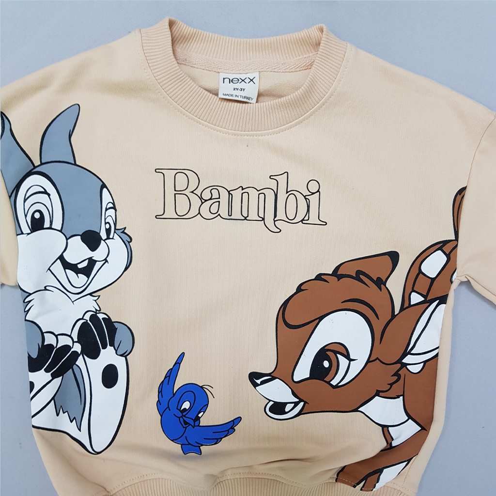 ست پلیور شلوار بچگانه 30016 سایز 9 ماه تا 11 سال مارک NEXX