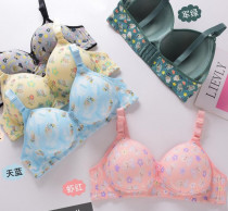 سوتین اسفنجی بزرگ لبوبو کد 419057